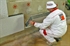 Picture of  Baumit open® 